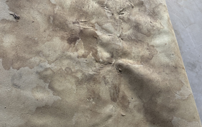 Rug Anti-mold treatment