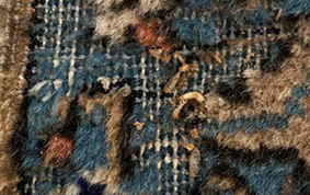Rug Moth damage